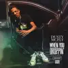 Dusty McFly - When You Droppin' - Single